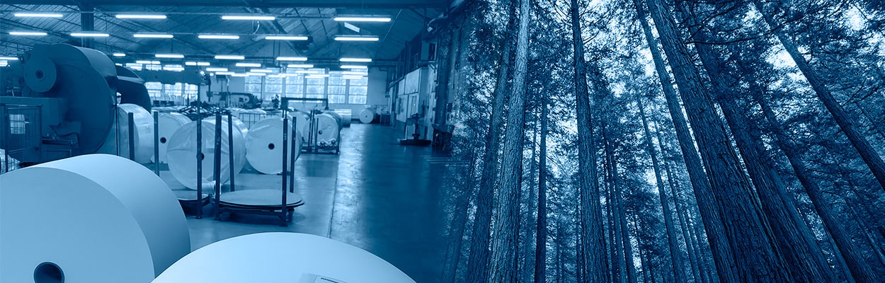 banniere_foret_papier